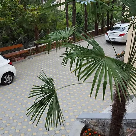Apartment Atta