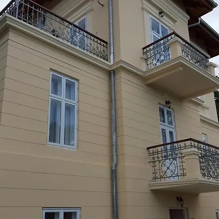 Atta オパティヤ